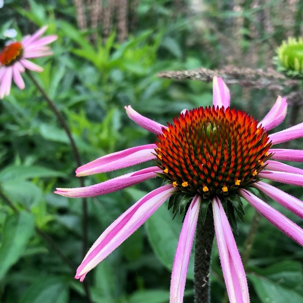 Meet your Posher, Kathryn